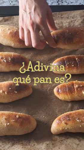 Shio Pan de Masa Madre Gacri Natural